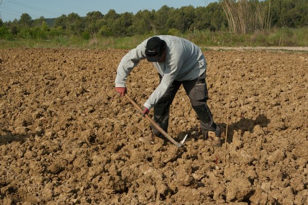 Food Supply Success In Pandemic Belies Wasteful Farm Policies: OECD