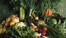 Taste Council of Ireland Celebrate Small Producers