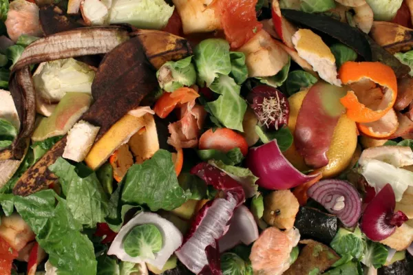 Irish Households Throw Out €700 Worth Of Food Annually: EPA