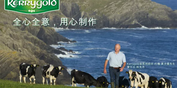 Ornua Acquires Shanghai Dairy Manufacturer Ambrosia