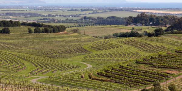 Australian Wine Exports Reach $2.1 Billion