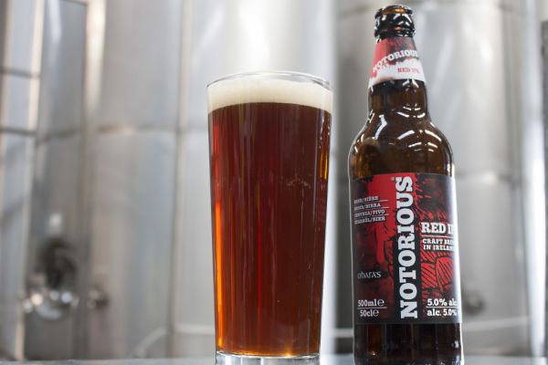 O’Hara’s Launches First Seasonal Brew Of 2016 With Notorious IPA