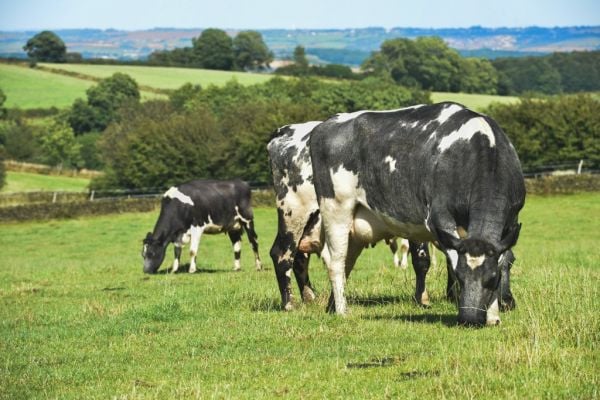 Farm Incomes Down Due To 'Lower Milk Prices And Poorer Crop Yields'