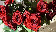 Valentine’s Day Boosts Spending As Irish Consumer Confidence Rises