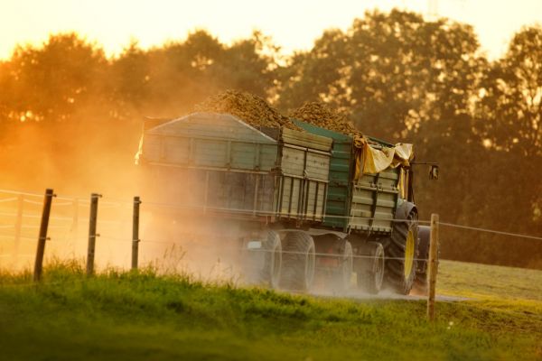 Irish Farming Sector Most Exposed By Brexit Says IFA