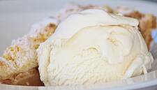 Cork-Born Biotech Company Introduces Dairy Free, Hi-Protein Ice-Cream