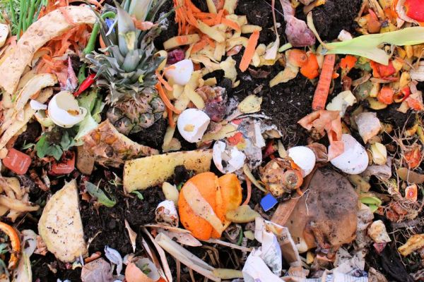 Food Waste To Energy Energy Project Approved For Climate Action Fund