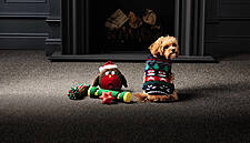 Aldi Launch Festive Family Kits