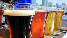 Northern Irish Craft Brewers Seek Licensing Reform