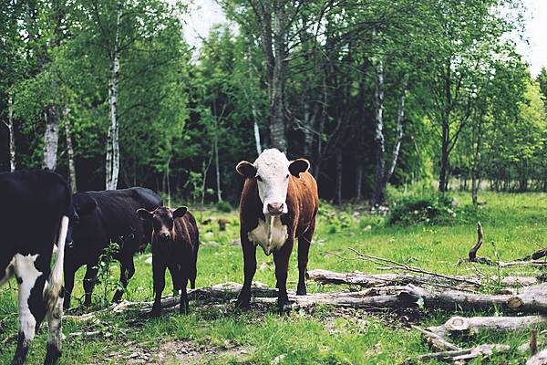 Grant Awards Worth €28m Announced For Agri-Food, Marine Research