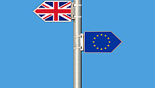 PM May's Brexit Approach Threatens Small Irish Firms Says SFA