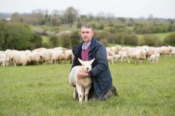 Irish Grocery Retailer Predicts Sales Of €17m Worth Of Lamb This Easter