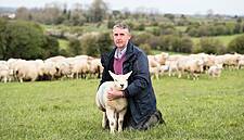 Irish Grocery Retailer Predicts Sales Of €17m Worth Of Lamb This Easter