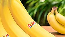 Total Produce: EU Holding Up Acquisition Of US Dole Food Company