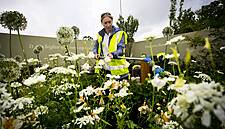 250 Food Buyers With Combined Buying Power Of €10B Visit Bloom