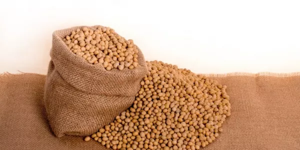 Soybeans Hover Near Decade Low Ahead Of Trade Talks