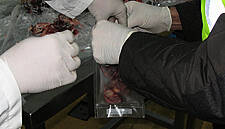 Arrests Made In Spain Related To Irish 2013 Horsemeat Scandal