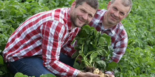 SuperValu Announces Plans To Sell €32m In Irish Potatoes