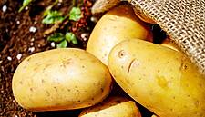 Teagasc and IPM Potato Group Sign New 15 Year Partnership Agreement