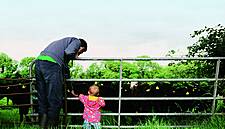 New Tesco Campaign Centres On 'Irish Family Insights'