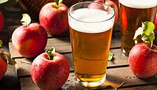 Demand For Premium Cider Driving Growth In Ireland, Report