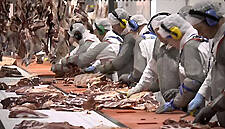 2 Sisters Food Group Temporarily Shuts Welsh Poultry Plant After COVID-19 Outbreak