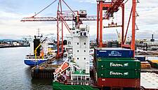 2020 Will Be Very Challenging For Many Irish Exporters, Says Enterprise Ireland