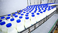 IFA Approves Of ECJ Ruling On Dairy Substitutes