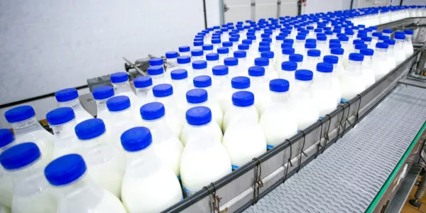 IFA Approves Of ECJ Ruling On Dairy Substitutes