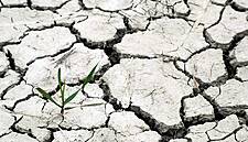 Weather Now A 'Greater' Threat To Agribusiness