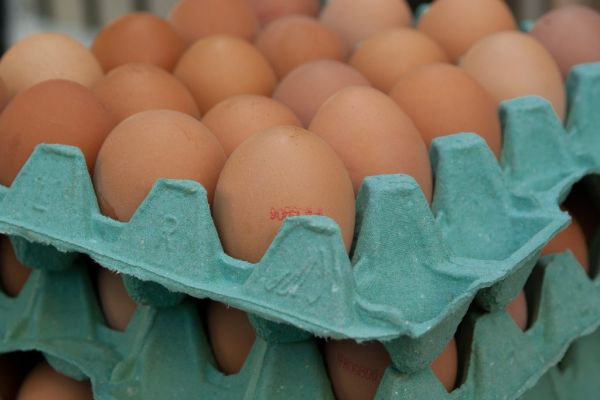 Free-Range Eggs To Be Temporarily Taken Off Market
