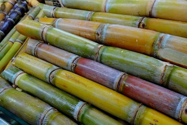 Brazil's Sugarcane Season Seen Smallest Since 2011