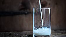 Almost 40% Of Irish Consumers Under 35 Increase Dairy Intake, Study Shows