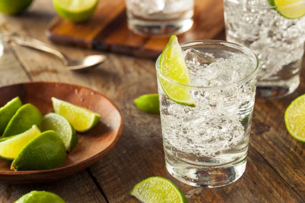 New Report Reveals Gin Was Ireland's Fastest-Growing Spirit In 2016