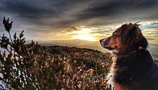 Top Oil Reveals Winner Of 2017 Amateur Photography Competition