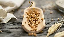 World Food Price Index Rises In March For 10th Month Running: FAO
