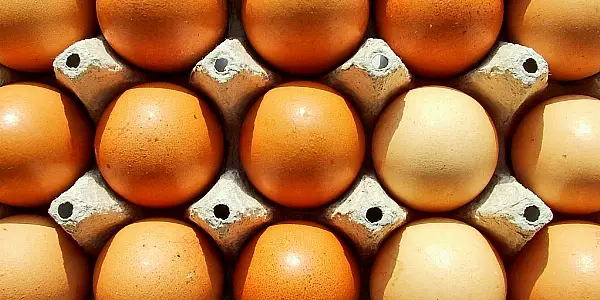 Ireland Will Have To Increase Egg Imports, As Bird Flu Outbreak Impacts Output