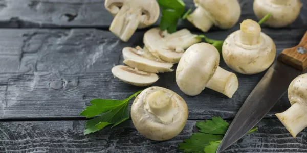 German Mushroom Harvest Increases By 2% In 2023: Destatis