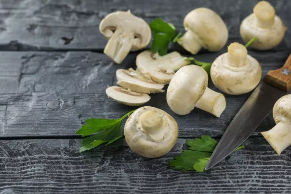 UK ‘Very Important’ For Mushroom Producers Due To Short Shelf Life