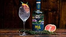 ABDI Launches Camino-Inspired Míl Gin