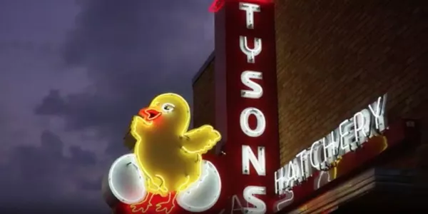 Tyson Foods Beats Sales Estimates On Higher Chicken Demand