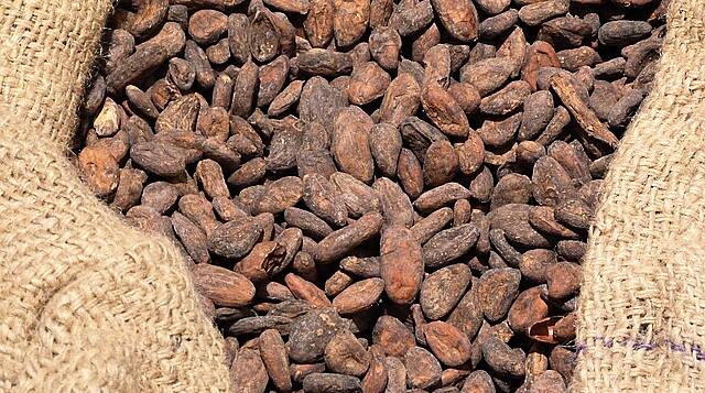Ivory Coast Seeks To Sell 100,000 Tonnes Of Cocoa As Buyers Haggle