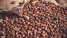 Coffee Prices Seen Rising Slightly By End-2020 Despite Higher Surplus