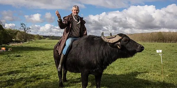 Aldi Announces New €1m Two-Year Partnership With Macroom Buffalo Mozzarella