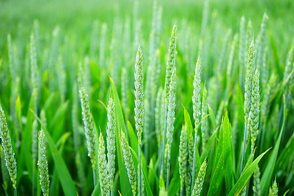 EU Countries Back Binding Green Farming Schemes