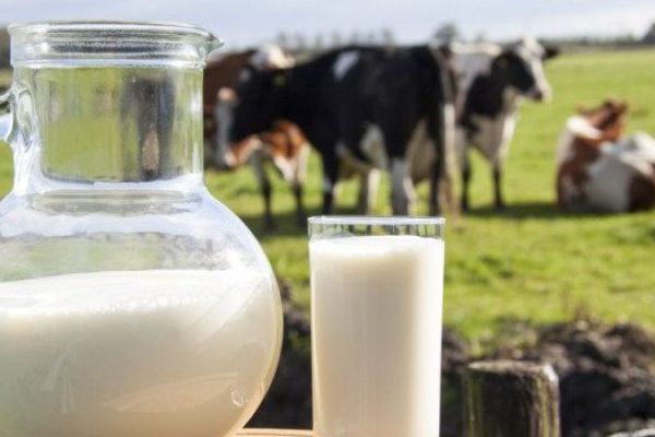 IFA Chairman Praises Kerry Group's Increased July Milk Price