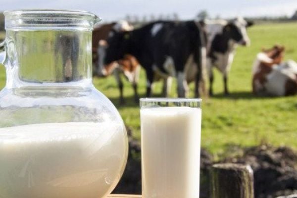 The Irish Dairy Farming National Quality Milk Awards Takes Place in Dublin