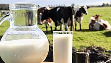 Dairygold Launches New Pastureland Guarantee For Dairy Products