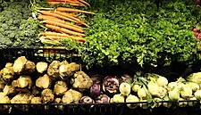 EPA: Irish Agri-Food Sector Needs To Improve Environmental Compliance