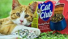 Mackle Petfoods Runs Competition To Find ‘The Face’ For Its Cat Club Brand